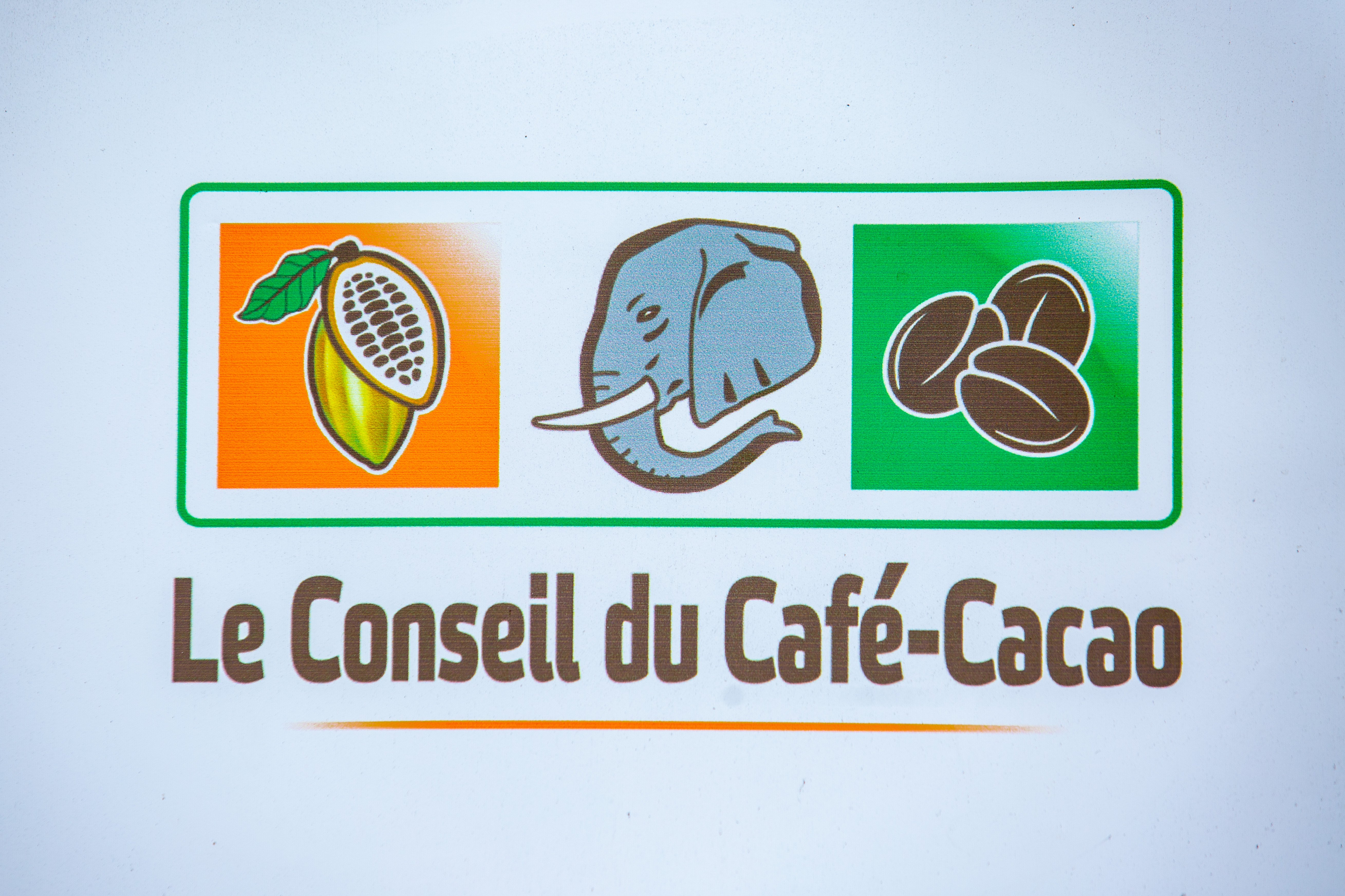Cacao durable : le Conseil Café-Cacao forme ses Techniciens agricoles